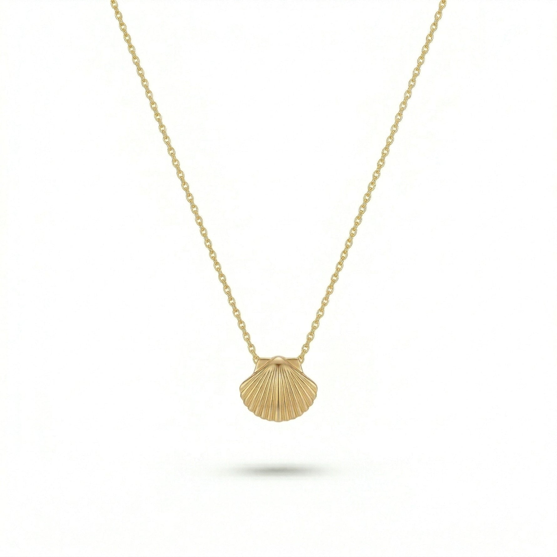 18k Gold plated necklace with a shell pendant on a white background