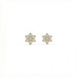 18K Gold Plated  flower-shaped earrings with clear stones on a white background